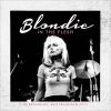 Download track In The Flesh (Live)