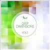 Download track Caution You (Alix Alvarez Remix)