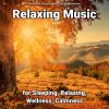 Download track Peaceful Ambient Music For All Ages