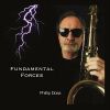 Download track Fundamental Forces