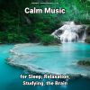 Download track Incomparable Background Soundscapes