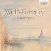 Download track Piano Trio No. 1 In D Major, Op. 5: I. Allegro Molto Moderato