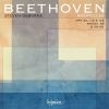 Download track 11 Bagatelles, Op. 119 - # 05 In C Minor: Risoluto