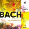 Download track 02. Sonata No. 1 In B Minor For Violin And Harpsichord, BWV 1014 II. Allegro