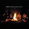 Download track Fireworks