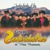 Download track Cual Adios