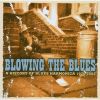 Download track Sun Brimmers Blues