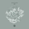 Download track Adhesion Feel (Evegrem 'Mayor' Reinterpretation)