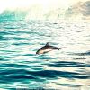 Download track Awesome Backdrops For Summer Days
