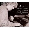 Download track 9. Sonata In D Major KV 284 No. 6 1775: Theme And Variations