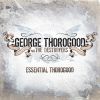 Download track The Sky Is Crying (Live)