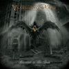 Download track Story Of Misery