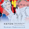 Download track Piano Sonata In B Minor, Hob. XVI: 32: I. Allegro Moderato