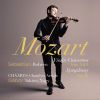 Download track Symphony No. 29 In A Major, K. 201: I. Allegro Moderato