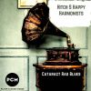 Download track Nightengale Rag Blues (Original Mix)