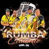 Download track Vas A Llorar Por Mi