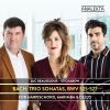Download track 01. Trio Sonata No. 3 In D Minor, BWV 527- I. Andante (Arr. For Harpsichord, Marimba & Cello)