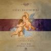 Download track 5. V. Pro Peccatis Suae Gentis. Allegretto