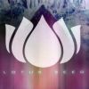 Download track Gravitron