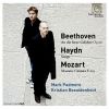 Download track An Die Ferne Geliebte, Op. 98