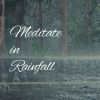 Download track Rain Outside A Concert