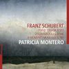 Download track Piano Sonata In F Sharp Minor D. 571: I. Allegro Moderato