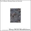 Download track Inner Reflection Guided By Ambient Nature Soundscapes