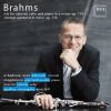 Download track Clarinet Quintet In B Minor, Op. 115: I. Allegro