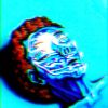 Download track Turtle Mask
