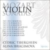 Download track 07 Violin Sonata No. 29 In A Major, K402 - 2. Allegro Moderato