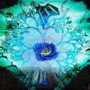 Download track The Implication