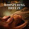 Download track Relaxation Massage Music