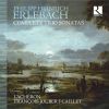 Download track 16. Sonata Prima In D Major Violin Viola Da Gamba Basso Continuo Archlute Harpsichord Bass Viol: I. Sonata Adagio - Allegro - Affettuoso