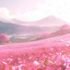 Download track Dewdrop Drift
