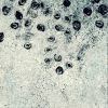 Download track A Dream Of Rain