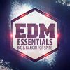 Download track Bitch I'm Madonna (Fedde Le Grand Remix)