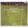 Download track 04. Schubert Fantaisie En Ut Majeur Op. Posth. 159 D. 934 - IV. Allegro Vivace