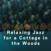 Download track Relaxed River Reflections