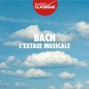 Download track Concerto In D Minor, BWV 974 (After Marcello's Oboe Concerto In D Minor, S. Z799) II. Adagio