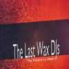 Download track The Smash Bass Lady