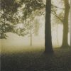 Download track Concerto For Harpsichord Strings Continuo No. 1 In D Minor BWV 1052- Allegro