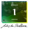Download track 07 - String Quartet In F Major, Hess 34 (Arr. Of Piano Sonata In E Major, Op. 14, No. 1) - I. Allegro Moderato
