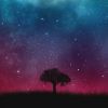 Download track Echoes In My Mind