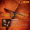 Download track Magnificat In D Major, BWV 243: IV. Omnes Generationes