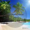Download track Papillon (Original Mix)