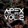 Download track Apex Sound Inside Nature, Vol. 2 (Continuous Mix)
