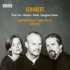 Download track 01. Piano Trio No. 1 In B-Flat Major, Op. 99, D. 898 I. Allegro Moderato