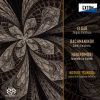 Download track Variations On A Theme Of Corelli Op. 42 [Arrange: C. Dumbraveanu] Variation 13: Agitato