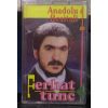 Download track Bu Yürek Bu Sevda Var İken