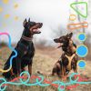 Download track Background For Restless Puppies